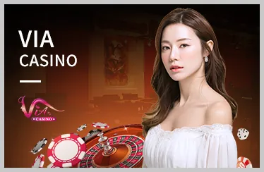 Người dùng đang lựa chọn nền tảng cá cược